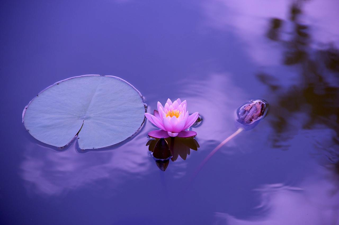 Meditatieruimte met kussens en tuinbeelden
