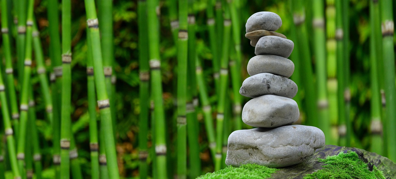 Rustgevende vijver in een meditatietuin