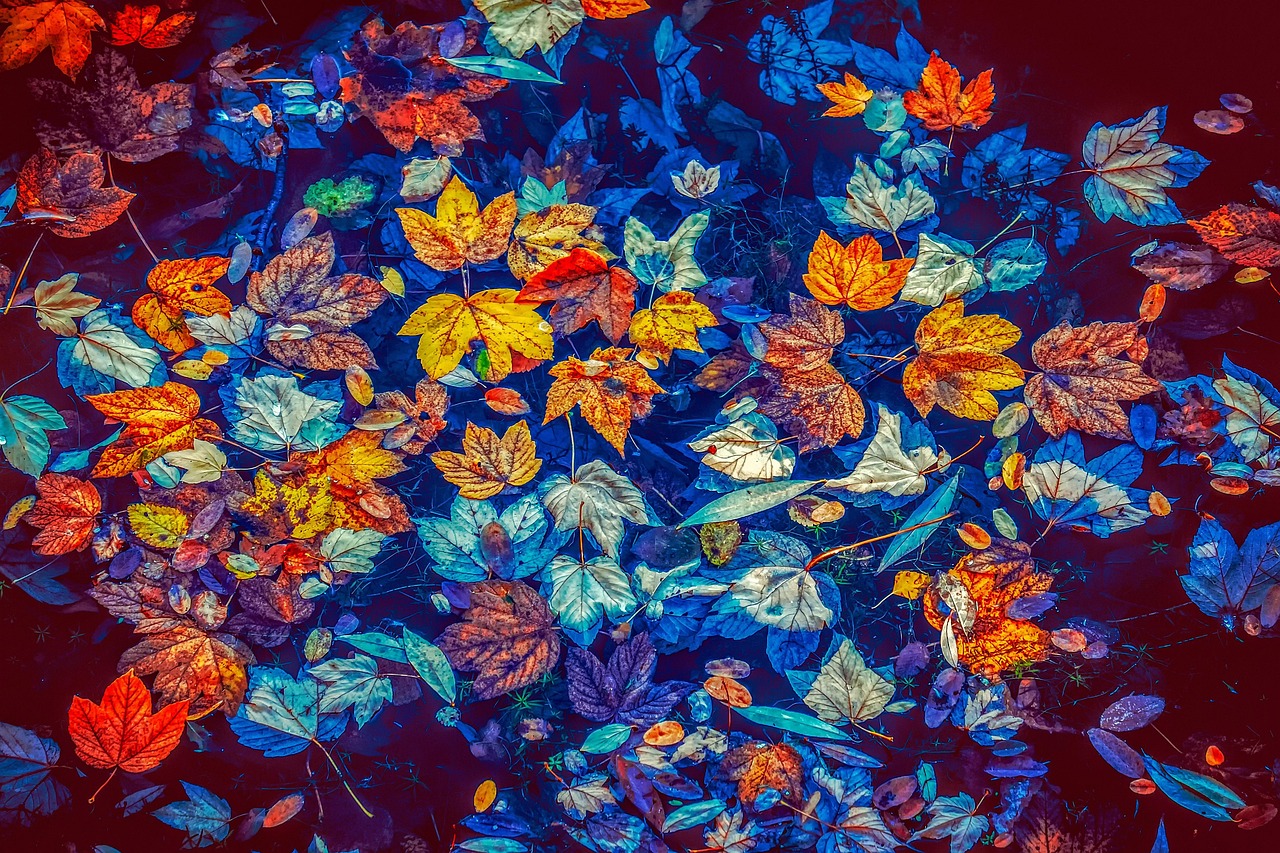 Botanische prints sieren elegante zomerjurken. Botanische prints sieren elegante zomerjurken.