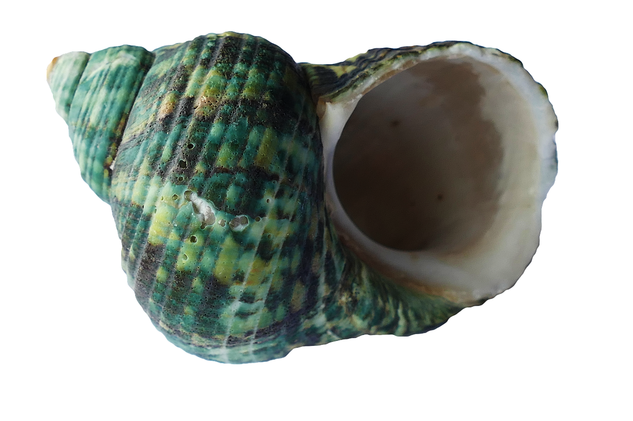 Frisse slaapkamer met zeegroene tinten en wit beddengoed. Frisse slaapkamer met zeegroene tinten en wit beddengoed.