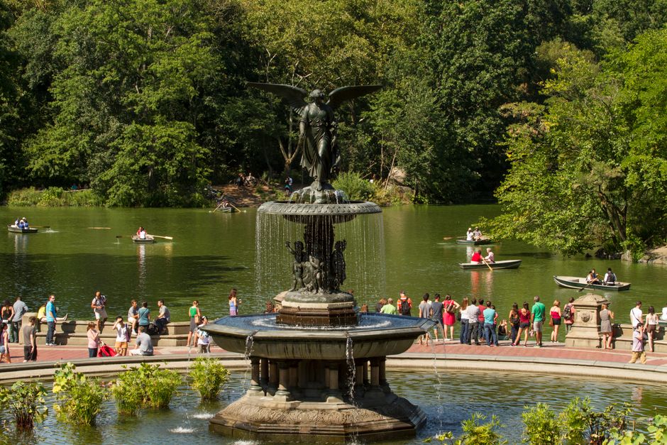 Moderne vijver met klassieke waterlelies. Moderne vijver met klassieke waterlelies.