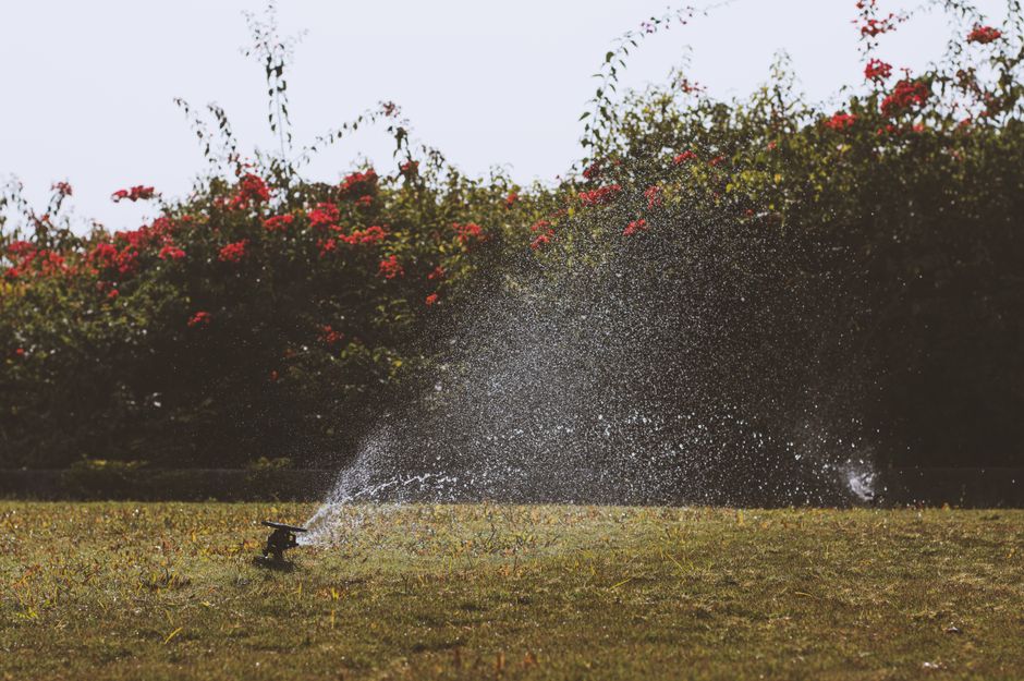 Moderne robotmaaier verzorgt gazon in zomertuin.