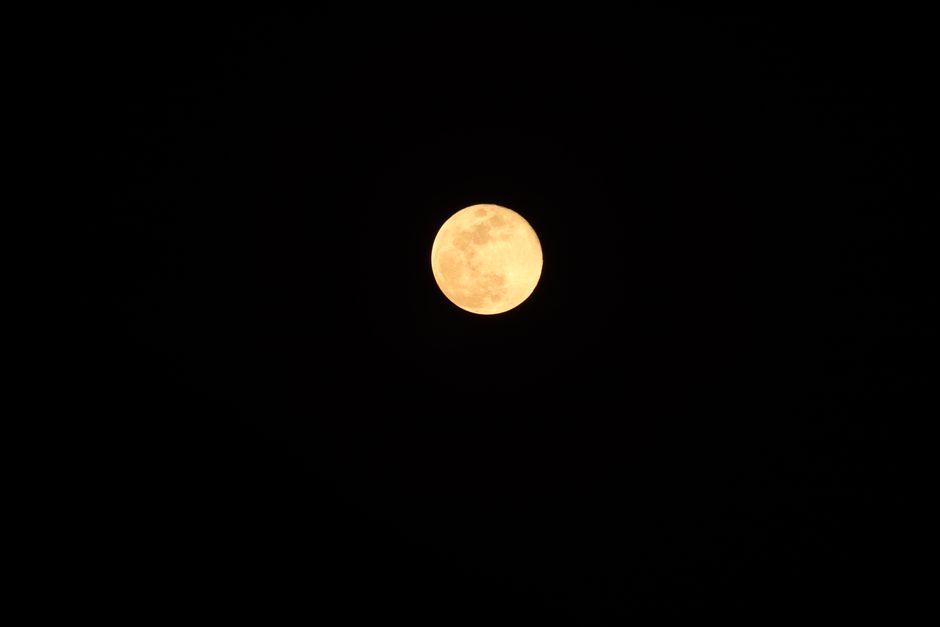 Volle maan boven zomerse landschap.