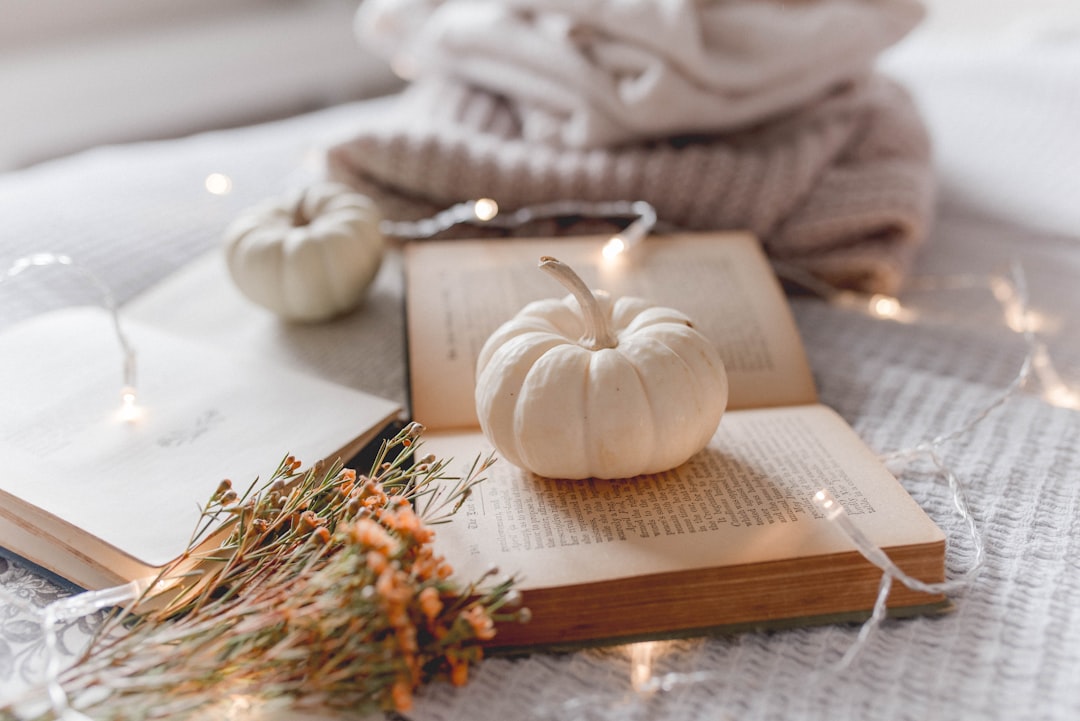 Moderne houtkachel verwarmt gezellige herfstkamer.